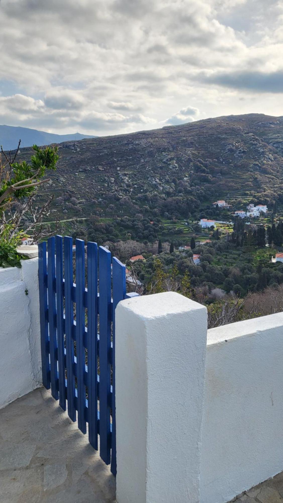 Eirini Home Ándros エクステリア 写真