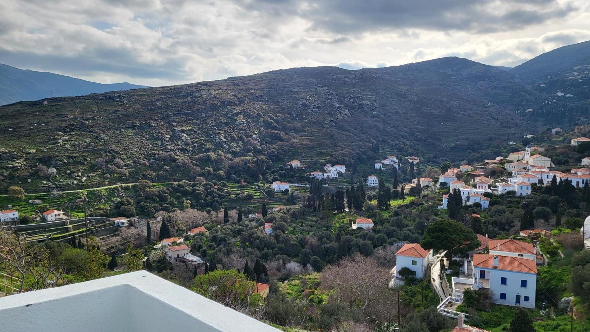 Eirini Home Ándros エクステリア 写真